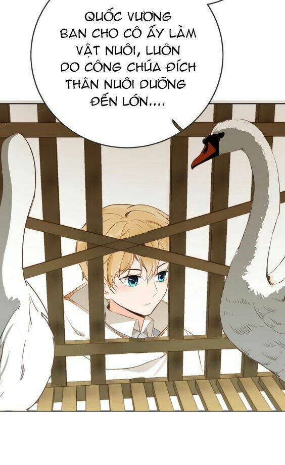 hầu nữ giá đáo chapter 8.5 5