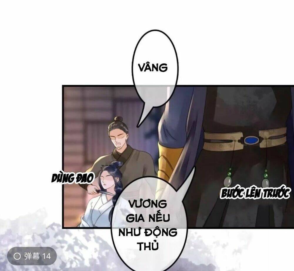 sủng phi của vương chapter 104 12