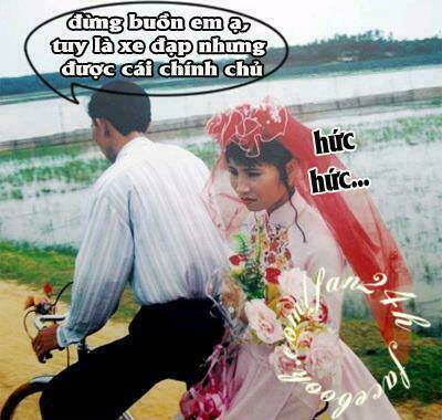 just troll chapter 31 11