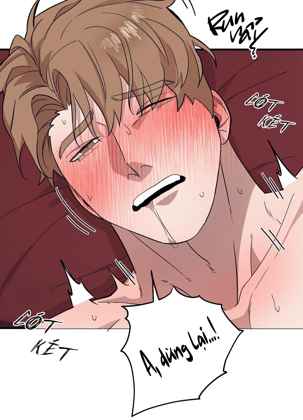 làm dâu nhà tài phiệt họ kang chapter 50 86