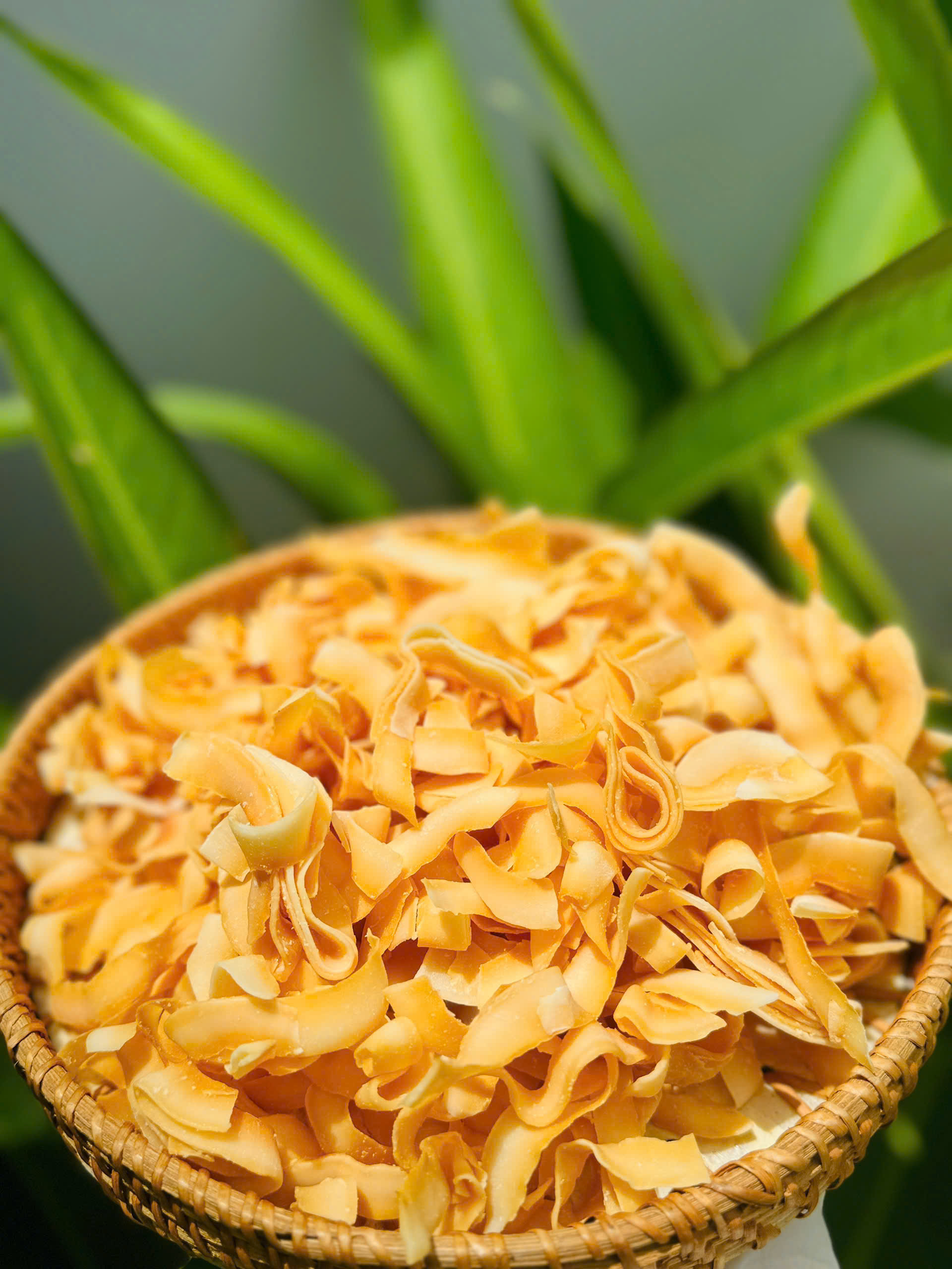 DỪA NON SẤY GIÒN - Coconut chips/ Thương hiệu HOLINUT