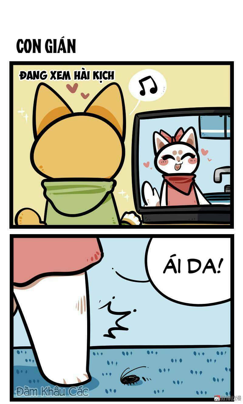 đời không như mình tưởng chapter 64 2