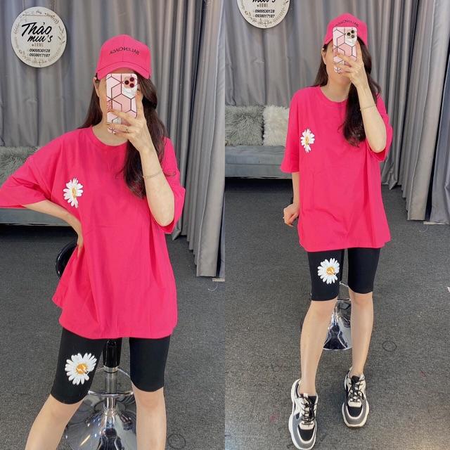 Bộ lửng hoa cúc siêu êu