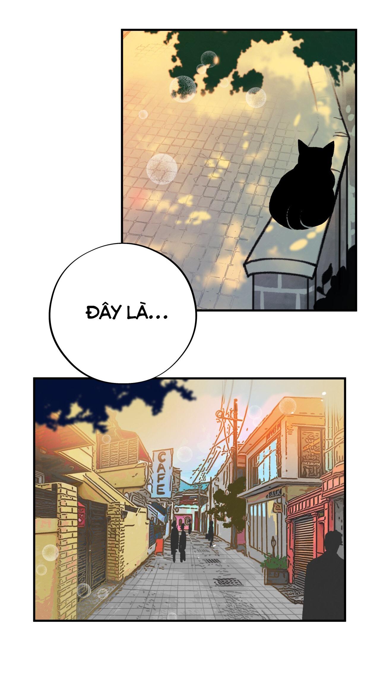 mật gấu chapter 2 20