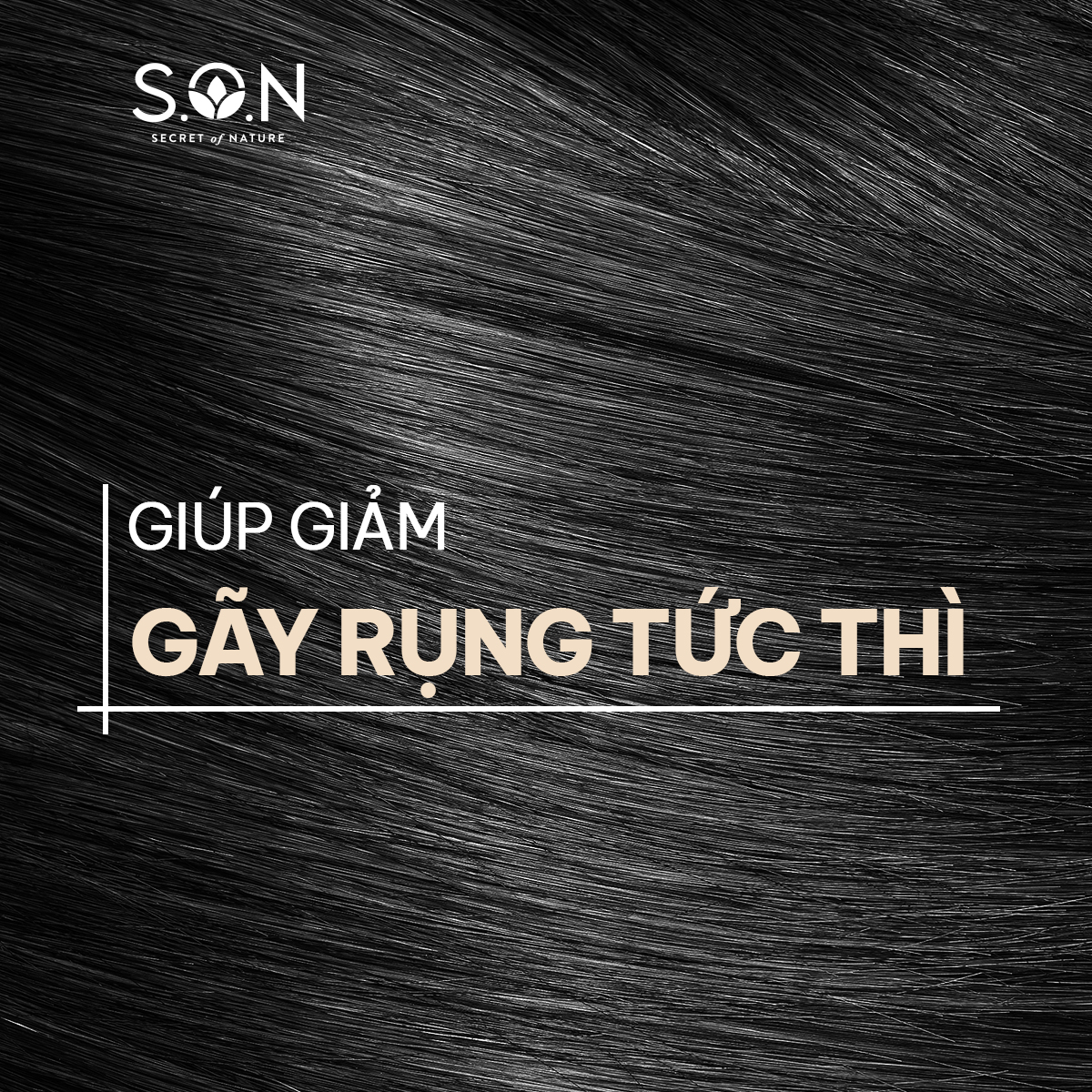 Dầu gội bồ kết &amp; bưởi S.O.N giảm gãy rụng, giảm gàu, dưỡng mượt tóc