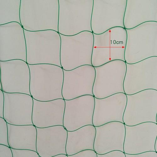 Lưới làm giàn leo 180 x 180cm, ô lưới 10x10cm, mắc 5 phút là xong
