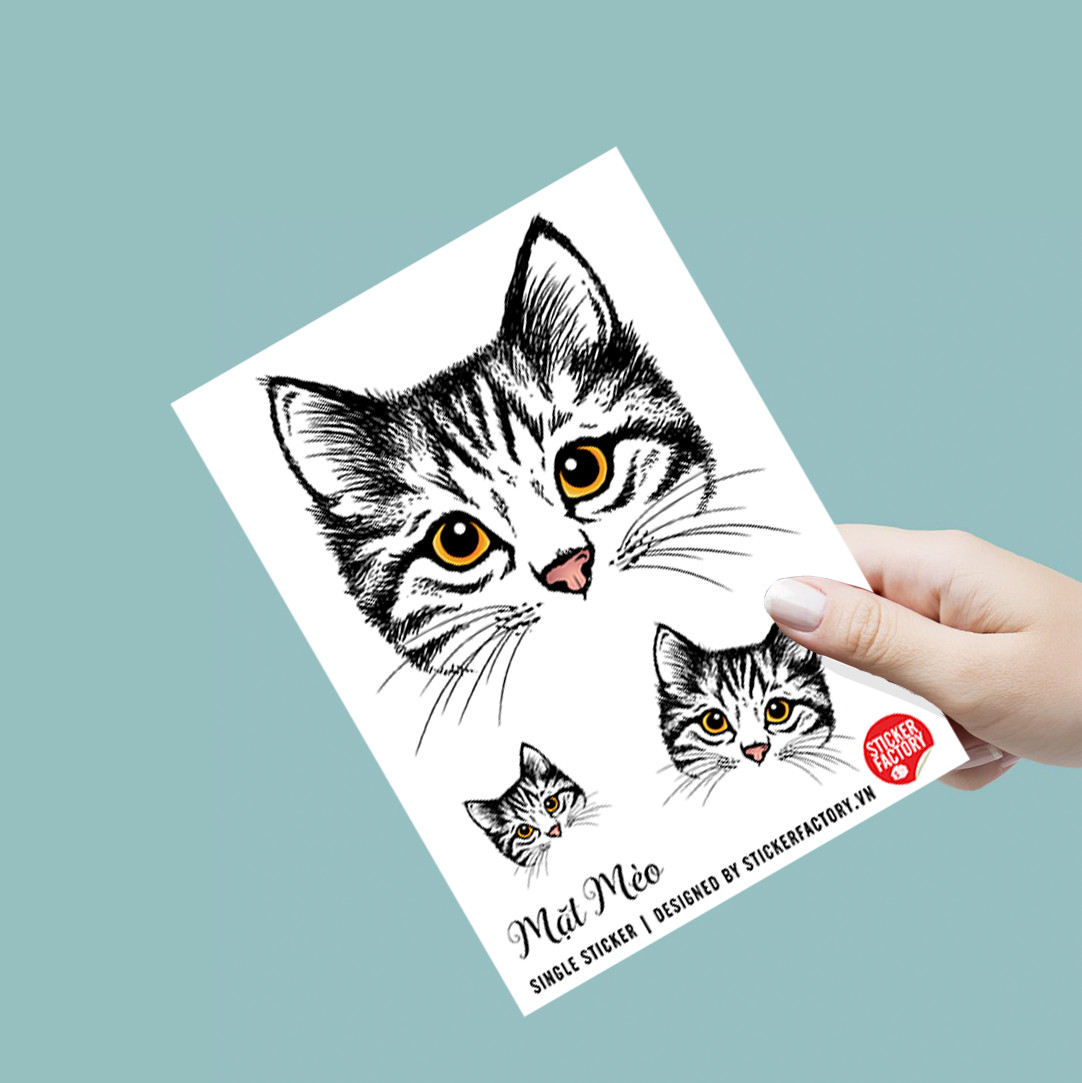 Cats mèo - Combo 7 single sticker hình dán