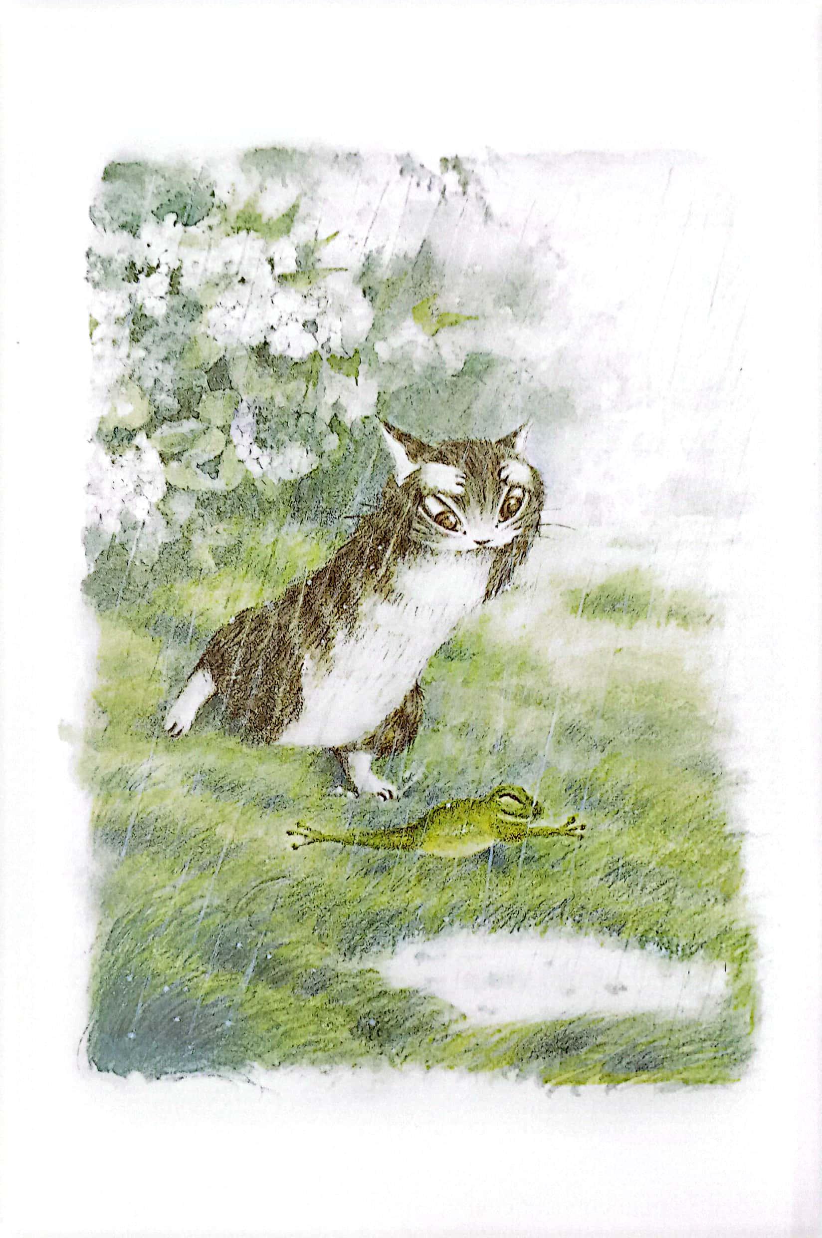 Combo Sách - Mogu Mọt Sách - Loạt Truyện Mèo Dayan (Bộ 4 Cuốn)