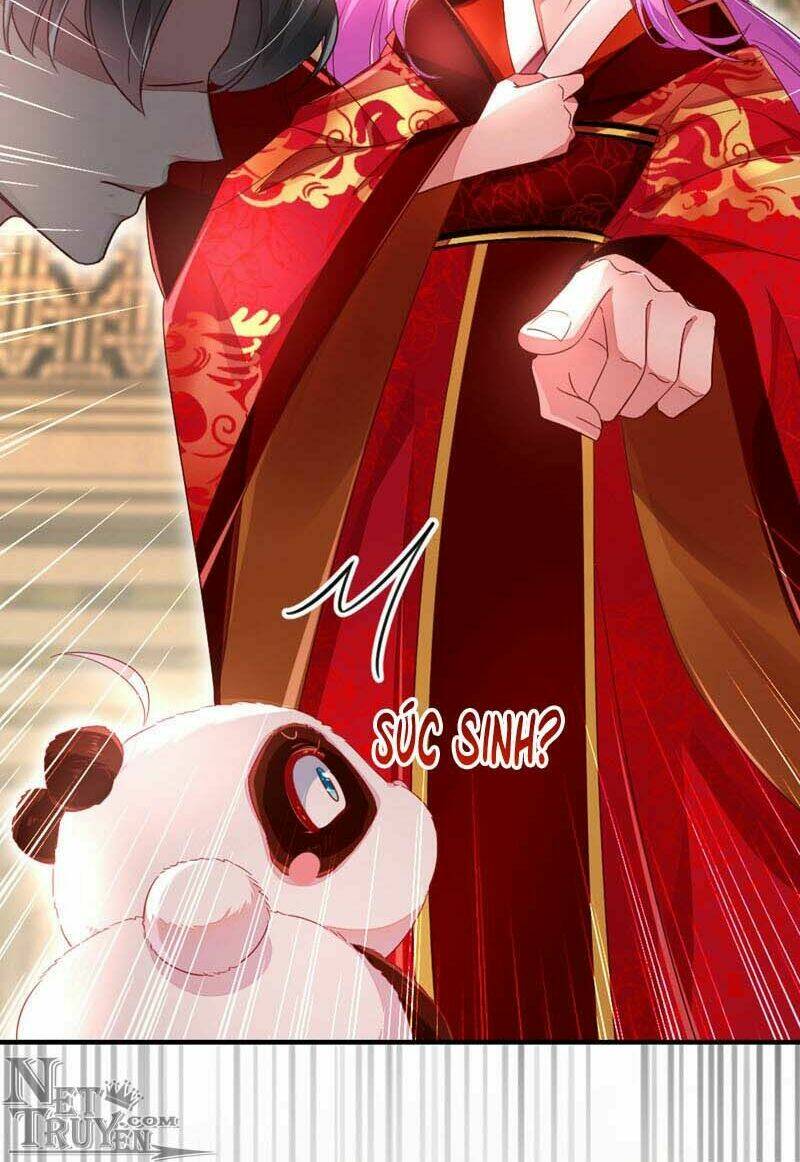 thiên thần gấu trúc muốn được ôm chapter 43 4