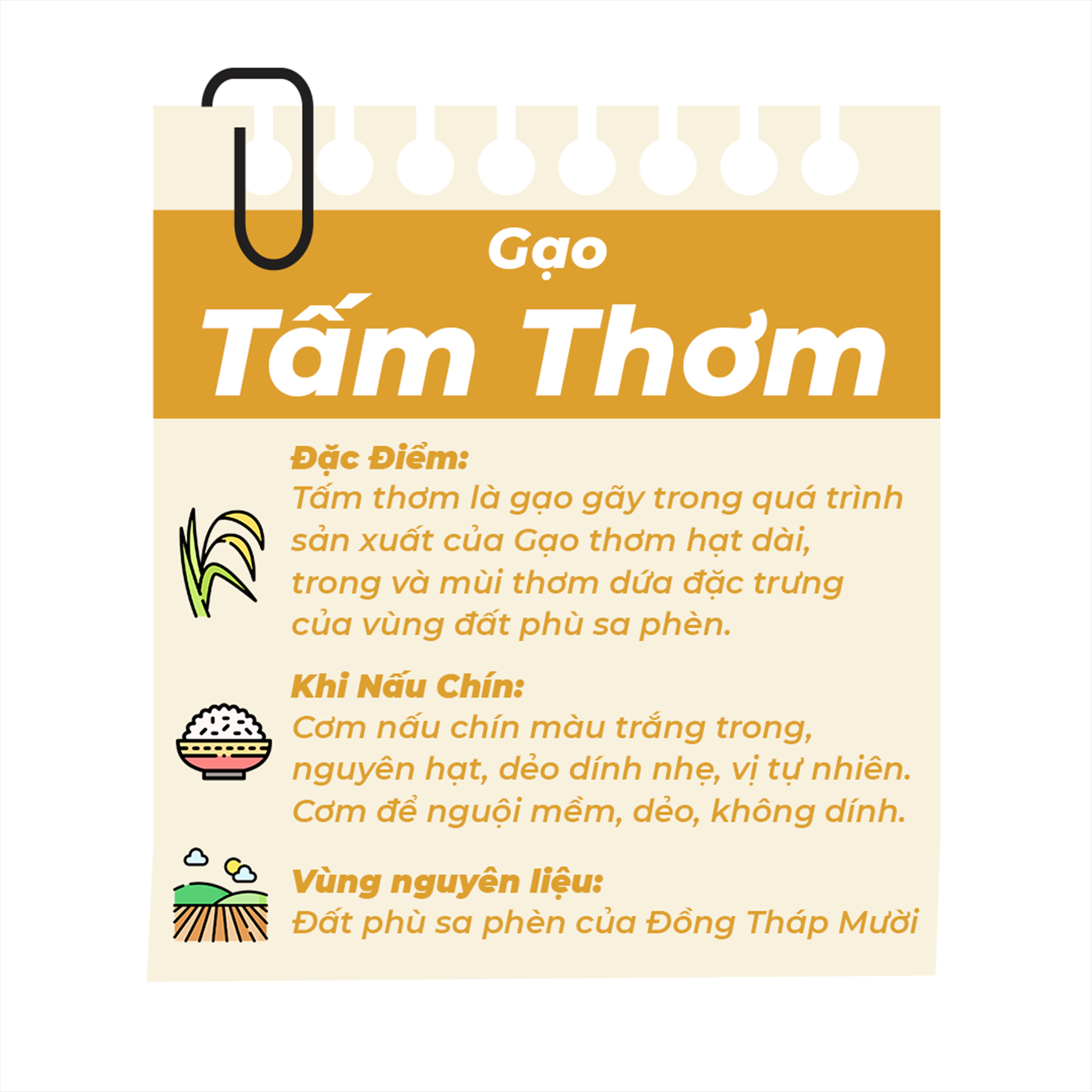 Gạo tấm thơm Angel túi 5kg