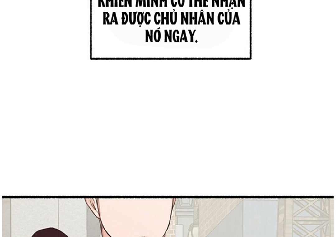 hoa triều chapter 18 27
