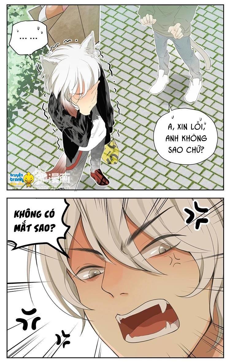 cứu mạng ! loài mèo thống trị thế giới rồi ! chapter 27 17