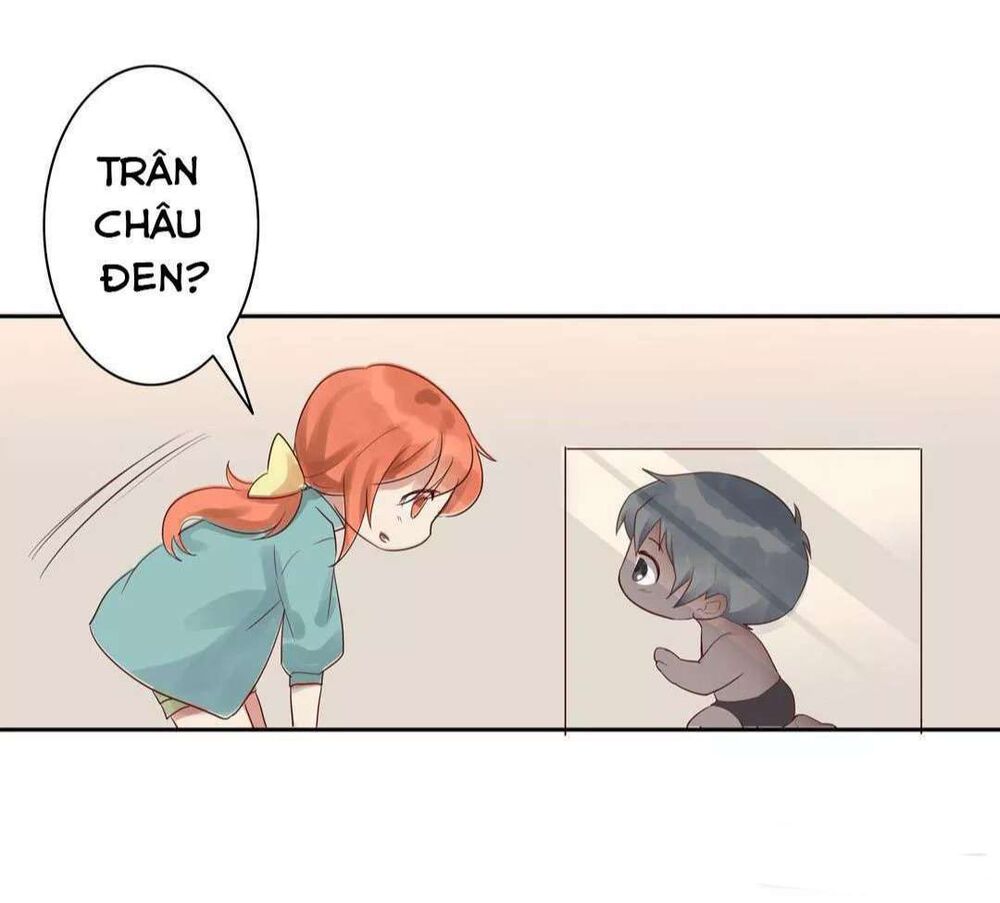 tất cả châu bảo đều cầu xin tôi trêu chọc nó chapter 5 31