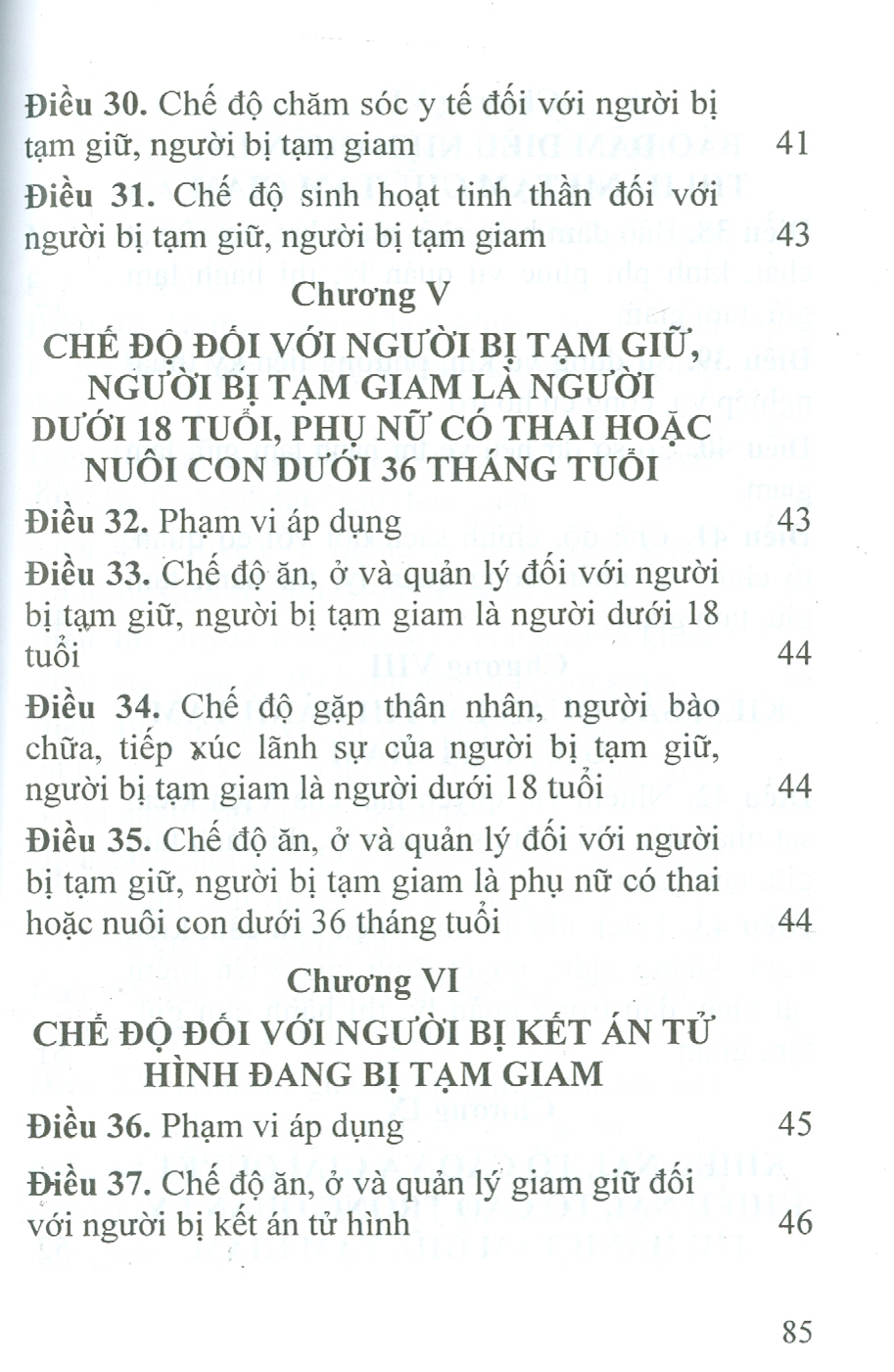 Luật Thi Hành Tạm Giữ, Tạm Giam