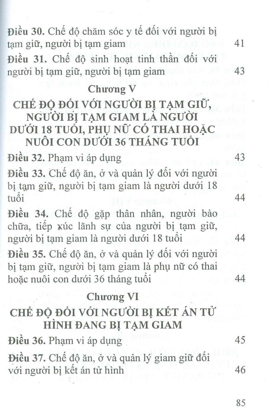 Luật Thi Hành Tạm Giữ, Tạm Giam