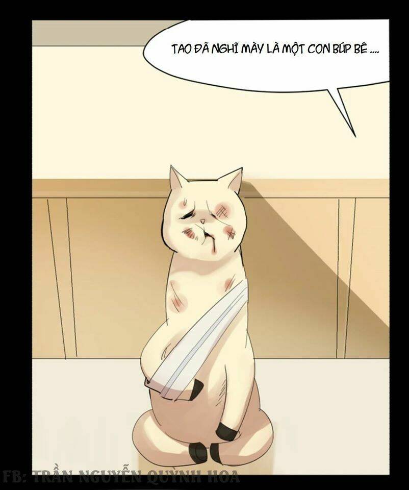 ngôi sao fod chapter 1 11