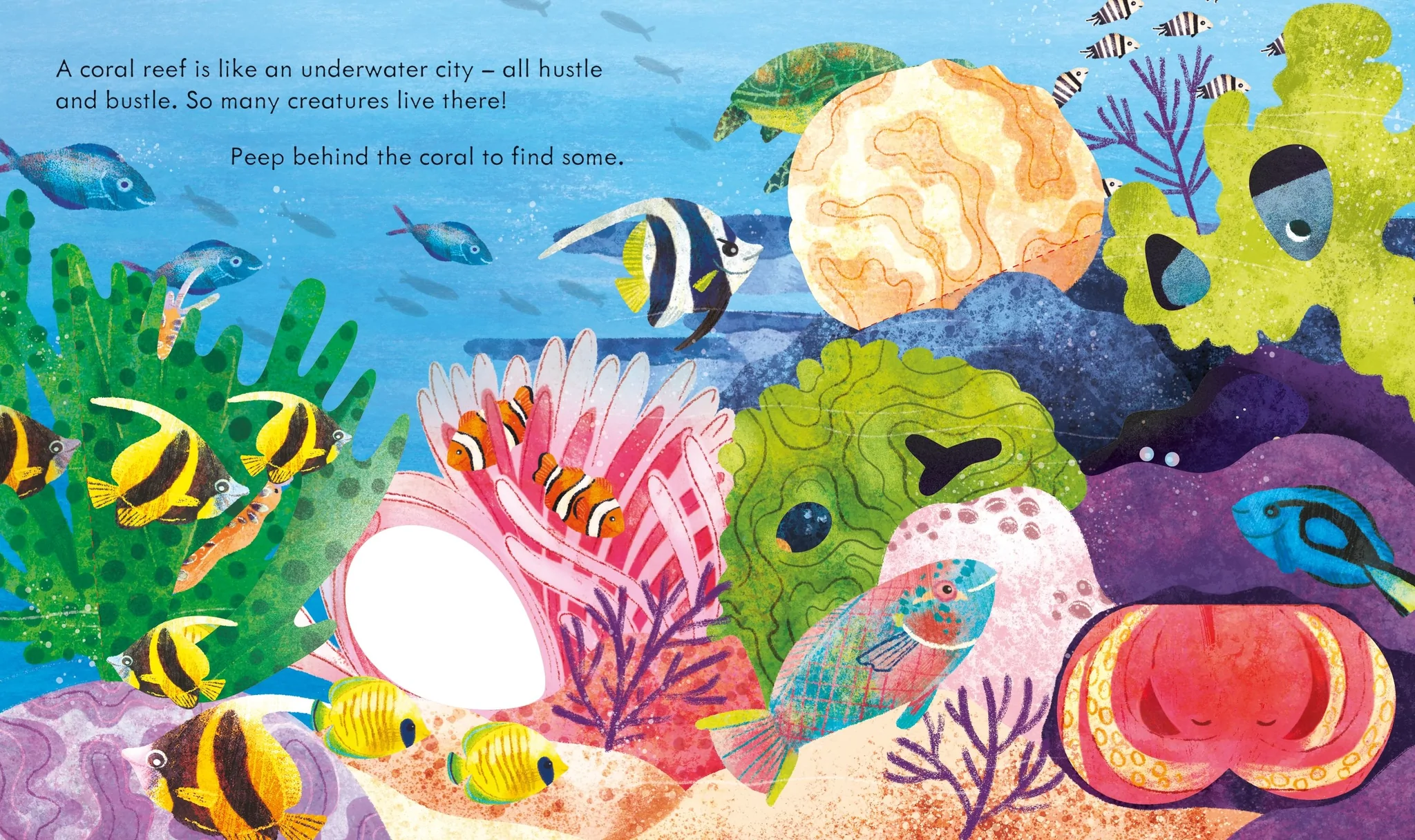 Peep Inside A Coral Reef
