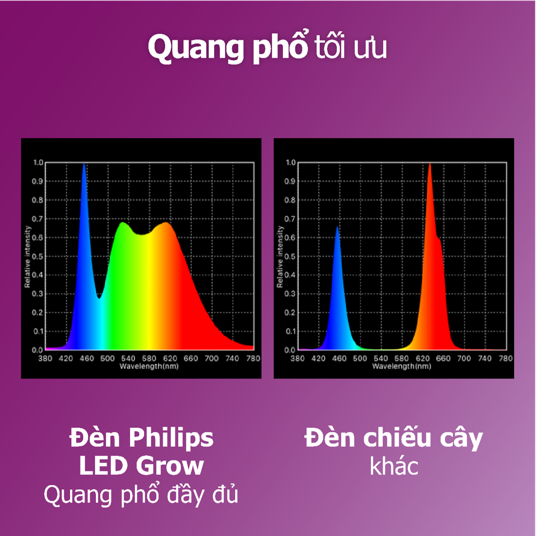 Đèn chiếu cây Philips LED Grow