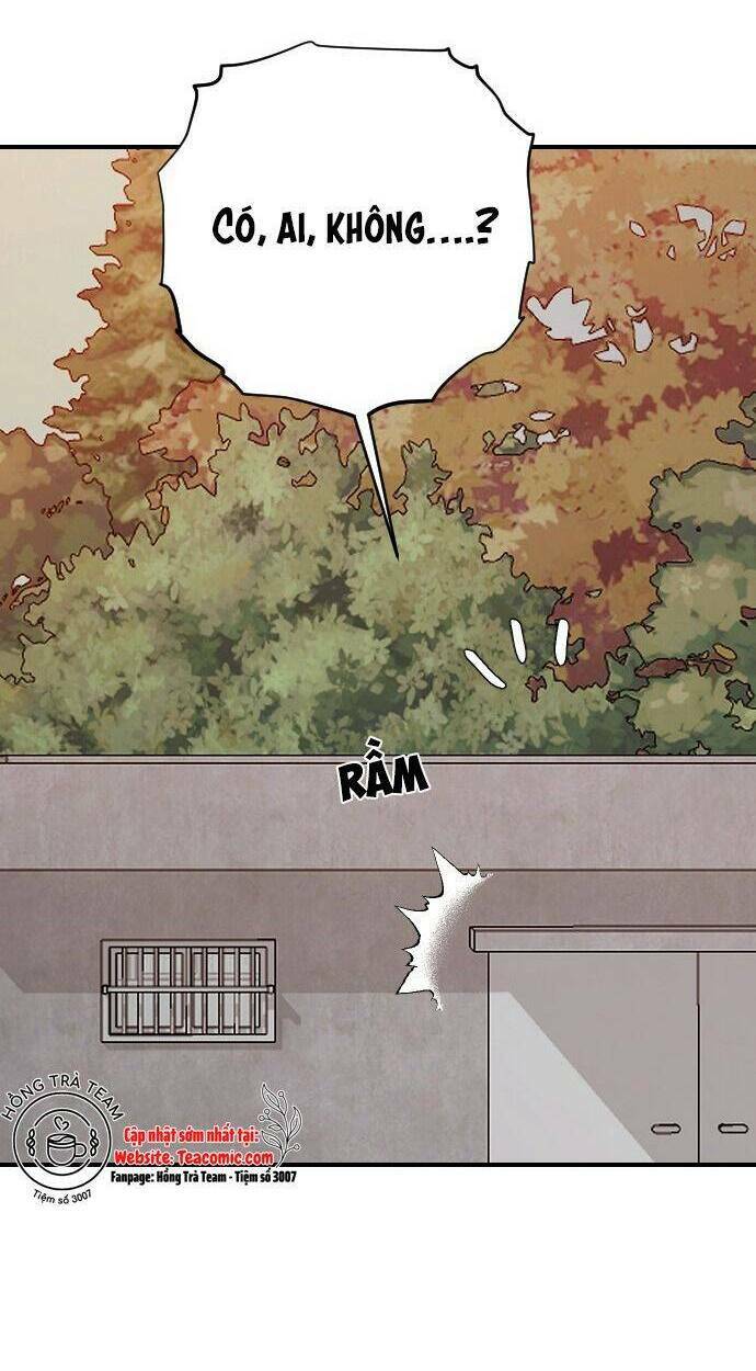 ba người anh trai cực phẩm của tôi chapter 49 16