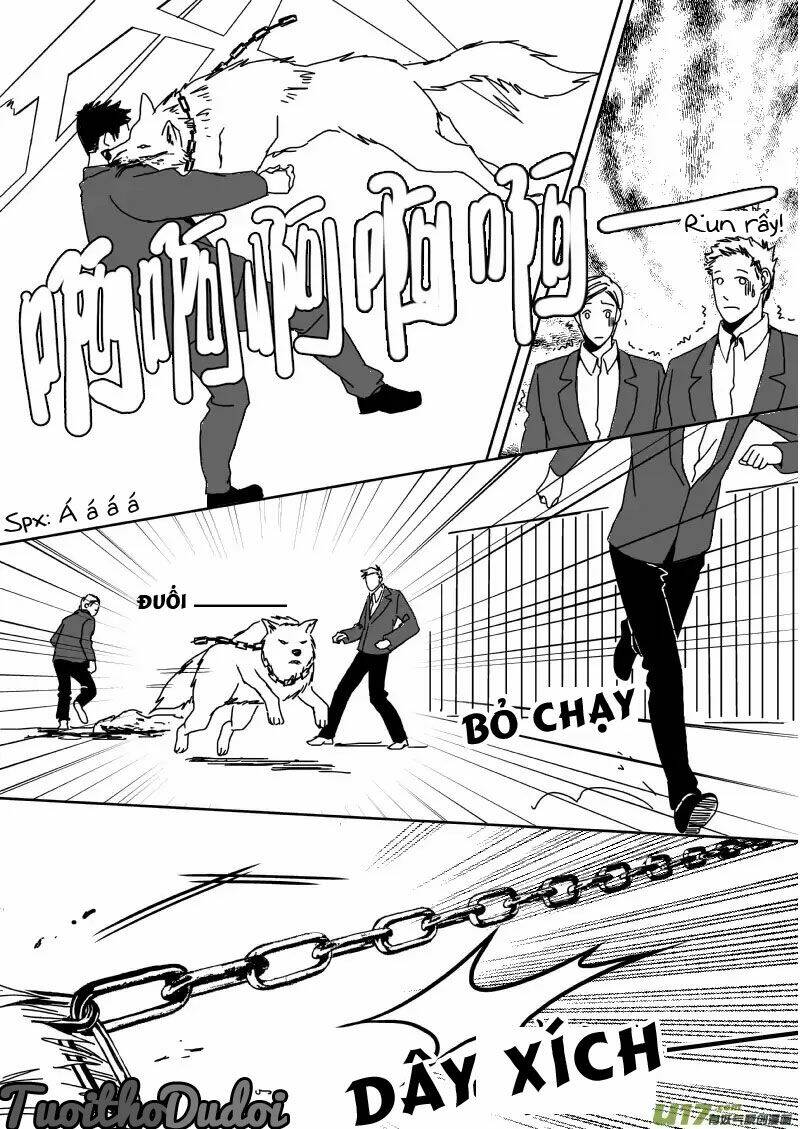 sự mê hoặc của sói chapter 39 11