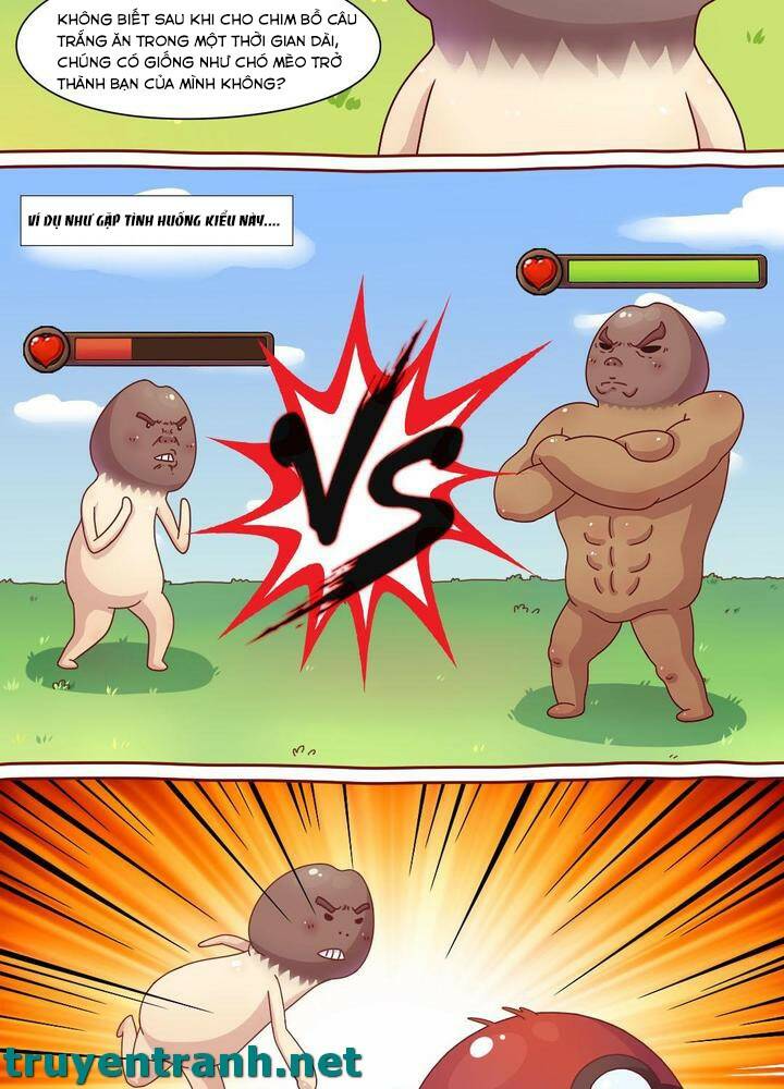 cây nấm kì khả chapter 3 4