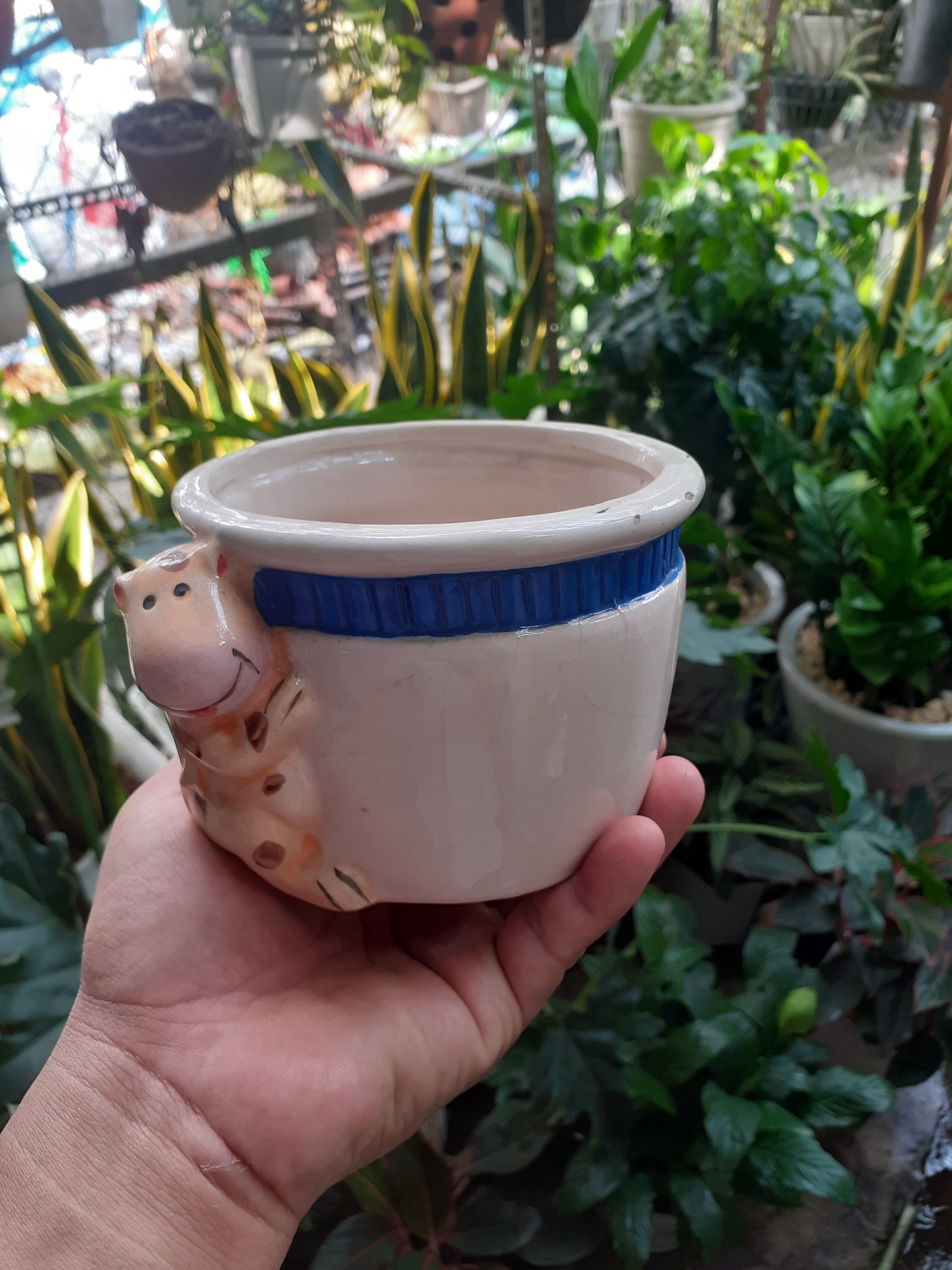 *** Chậu bé bò vàng trồng cây xinh xắn dễ thương ***