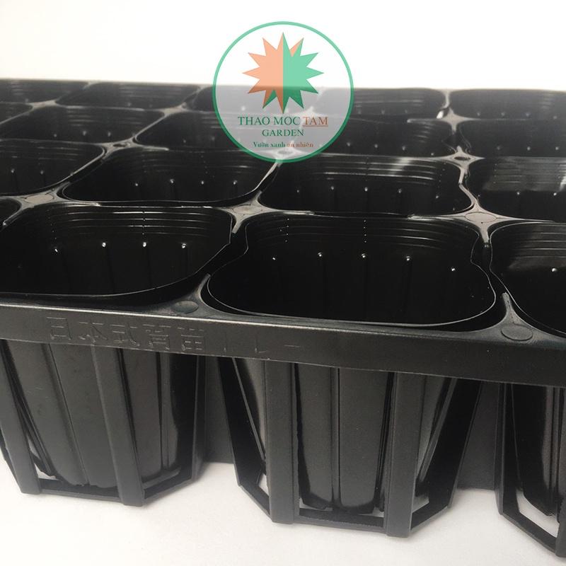 Bộ Khay 20 lỗ + 20 Chậu ươm 10.5 chuẩn Nhật - Khay ươm cây con, cây giống, trồng hoa làm vườn