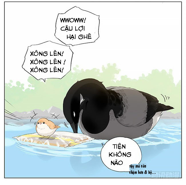 sẻ chiếu mới và nhạn phong sương chapter 8 14