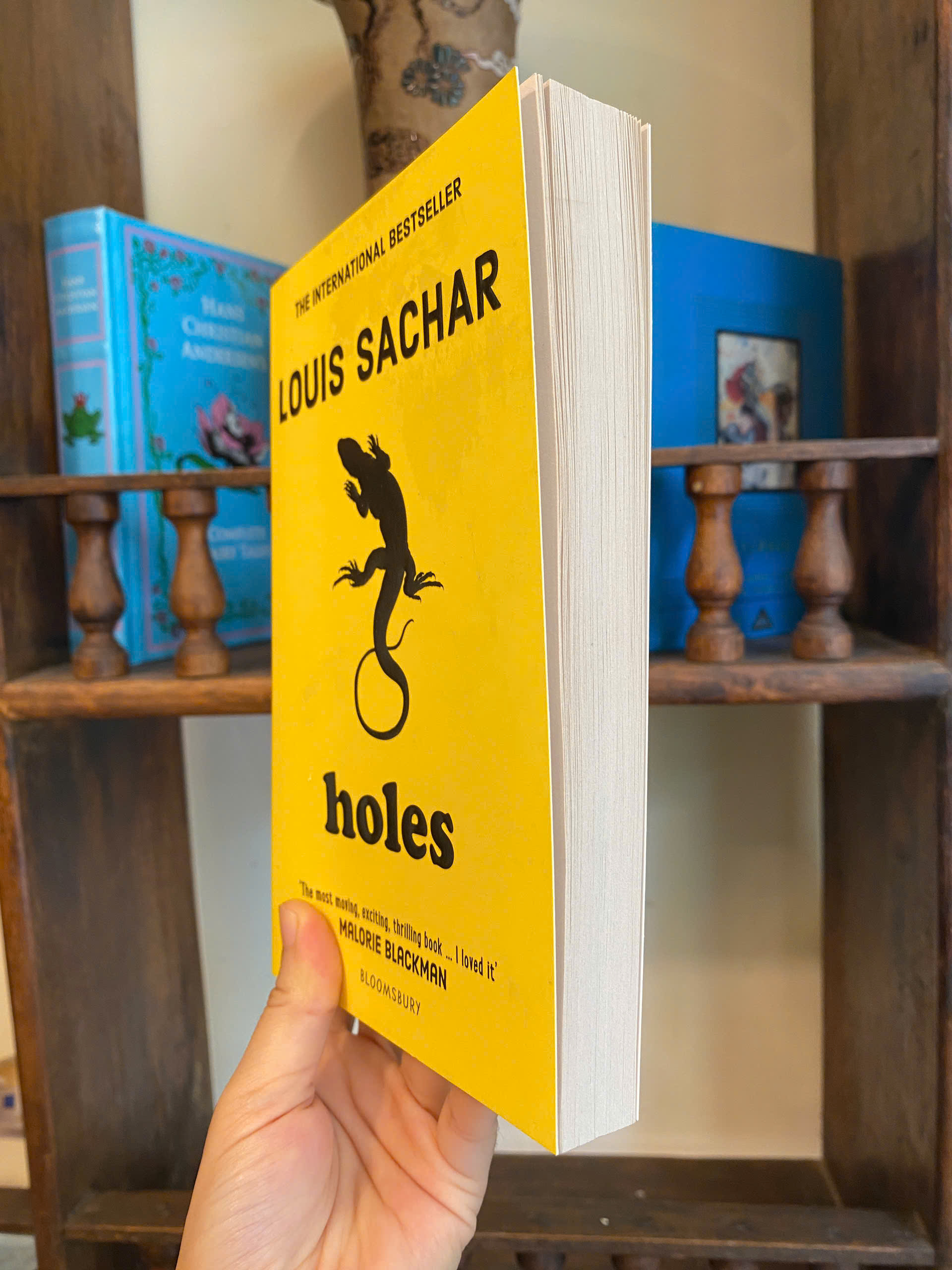 Sách - Holes by Louis Sachar | Young Adult Fiction / Childrens Classics / Ngoại văn Nhập khẩu