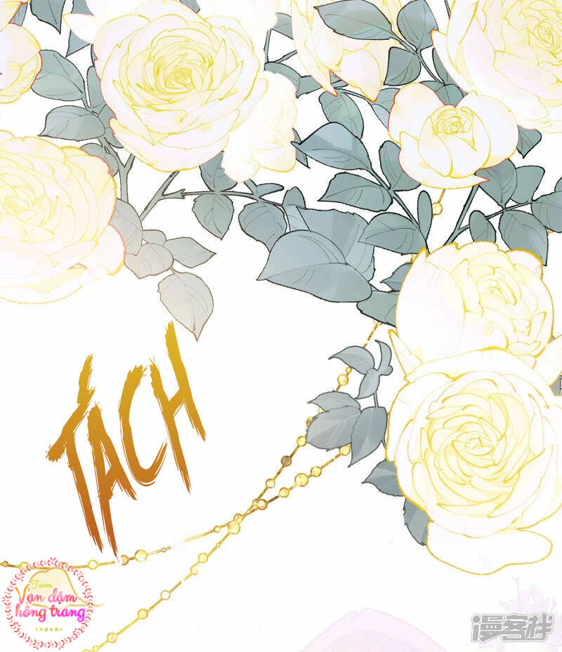 cô ấy đến rồi, xin nằm xuống! chapter 205 17