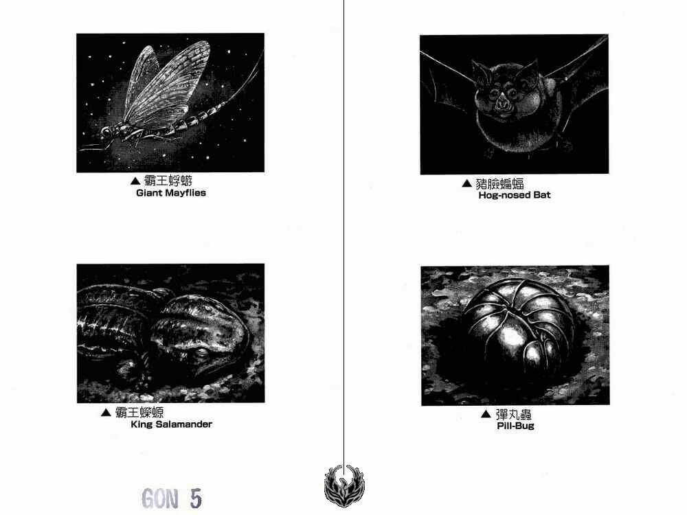 gon - khủng long siêu quậy chapter 16 81