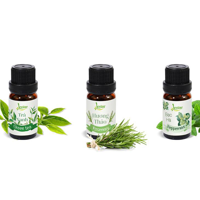 Combo 3 Chai Tinh Dầu Leviter Chăm Sóc Tóc 10ml Trà xanh 10ml - Bạc hà 10ml - Hương thảo 10ml