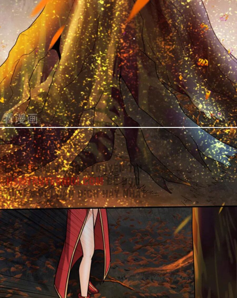 tối cường thần y tại đô thị chapter 256 31