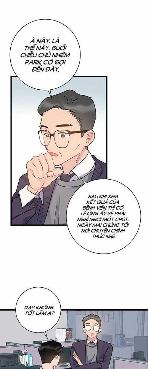 tình yêu bình dị nhất chapter 31 42