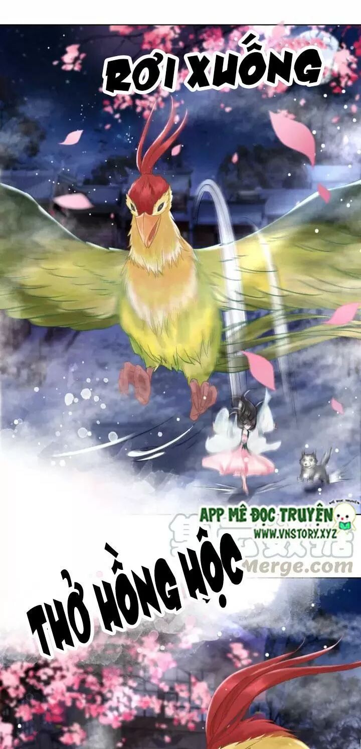 cực phẩm phế vật tiểu thư chapter 105 12