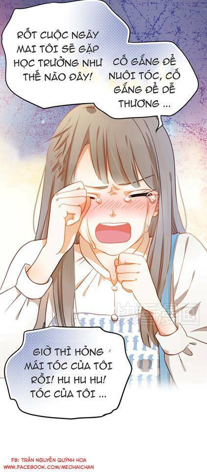 sự cám dỗ xấu xa chapter 0 23