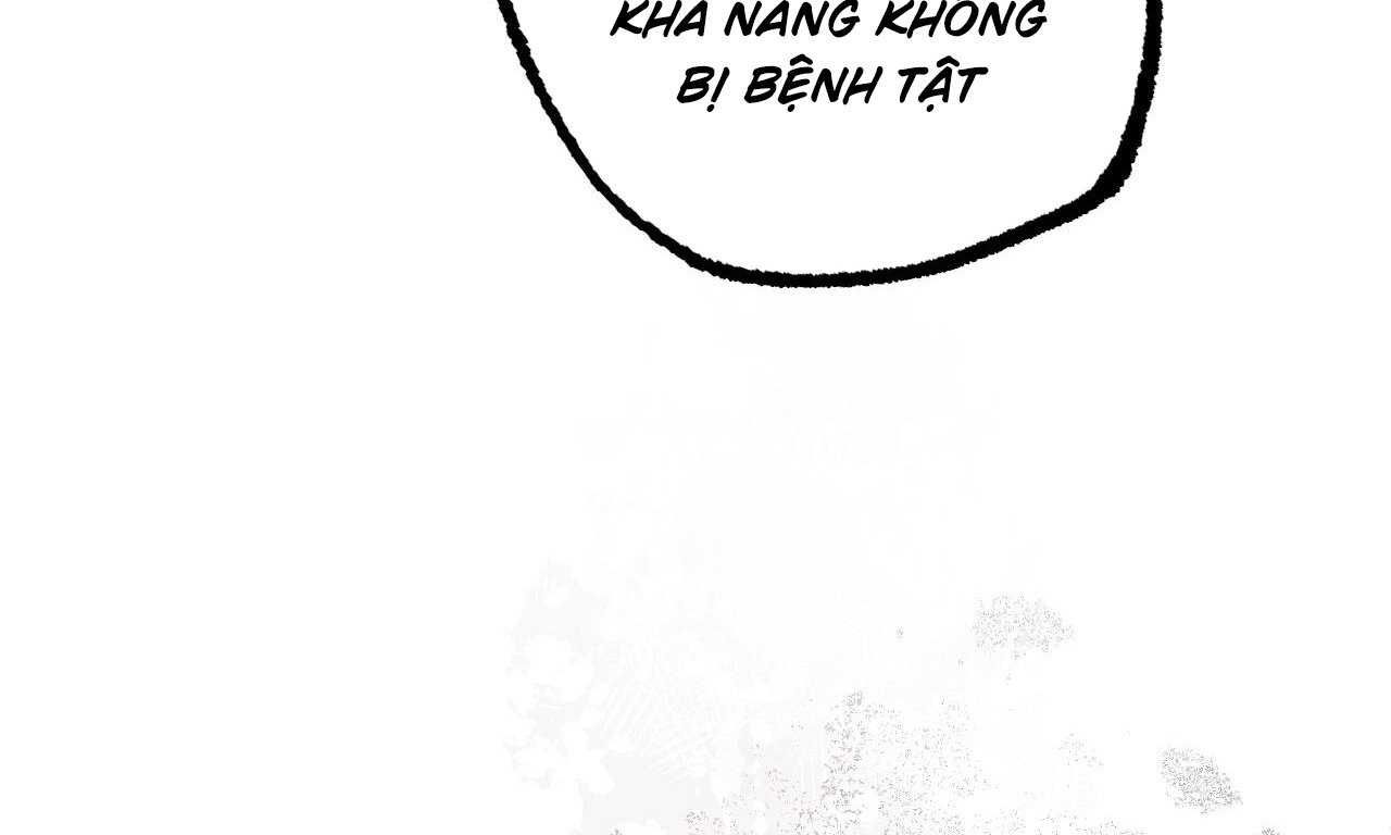 những chú thỏ của hapypy chapter 58 216
