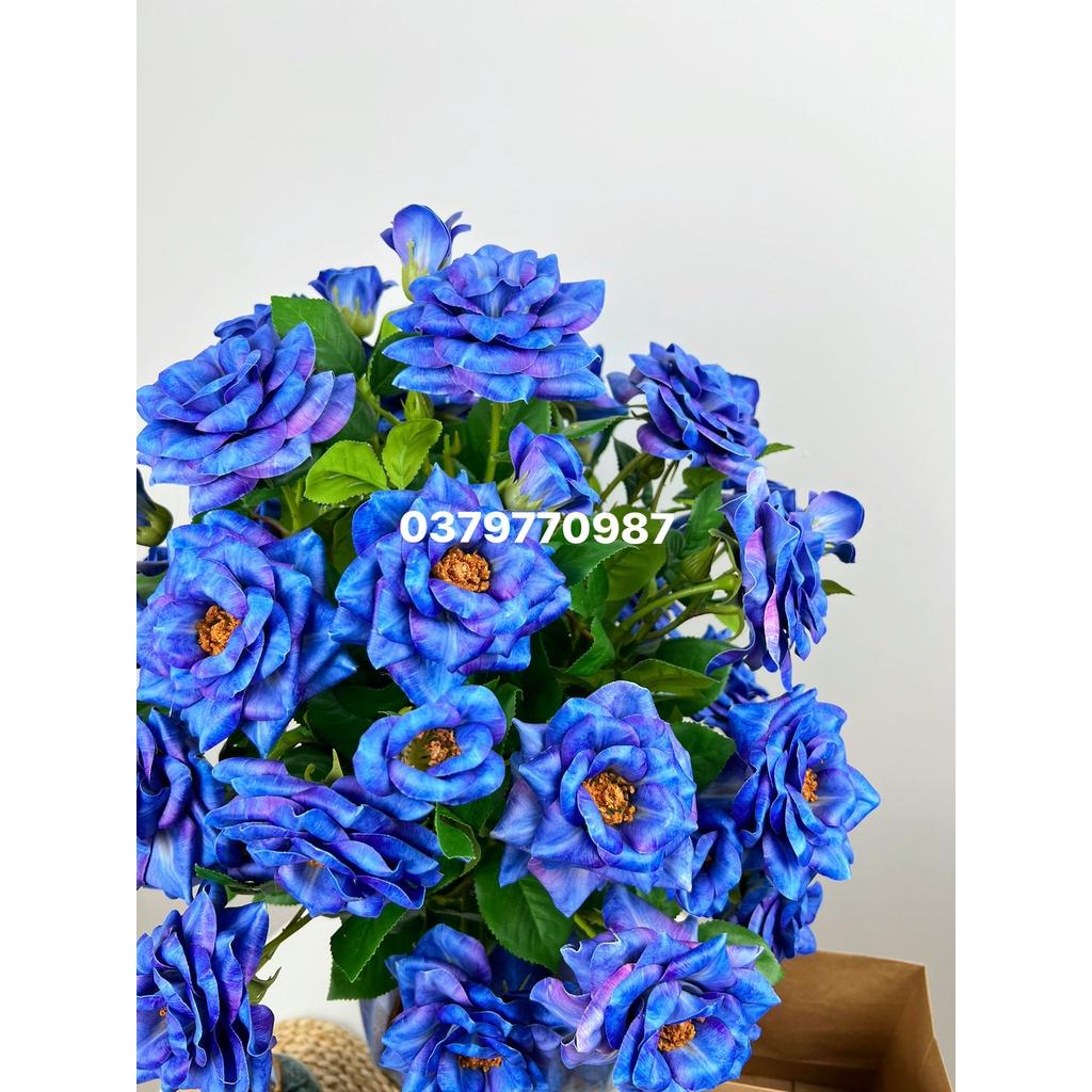 Bình Hồng xanh coban-Hoa lụa cao cấp-Góc decor nhà xinh