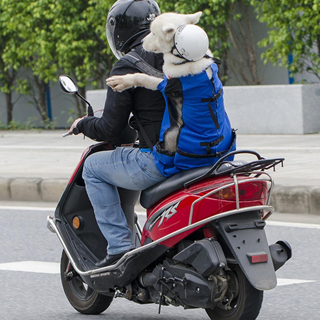 Pet Carrier, Dog Backpack Bag Free Your Hands Dog Carrier, Cat Carrier for Small