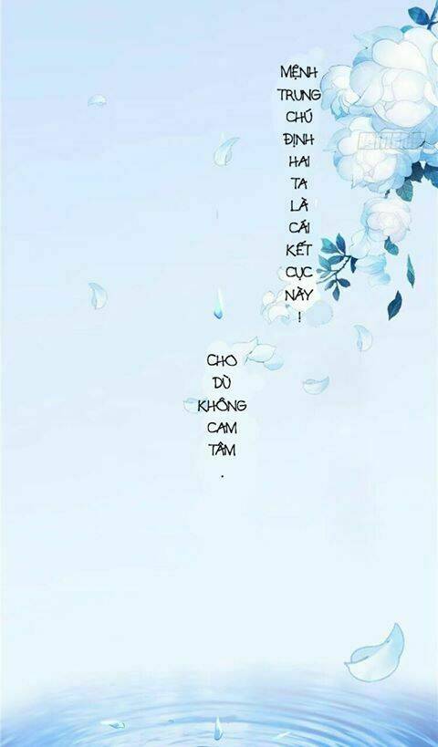 nghịch thiên độc y: long tôn cầu buông ra chapter 1 31