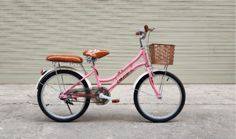 Xe đạp trẻ em SMNBike ESS 20-02 - 20 inch - Hàng chính hãng