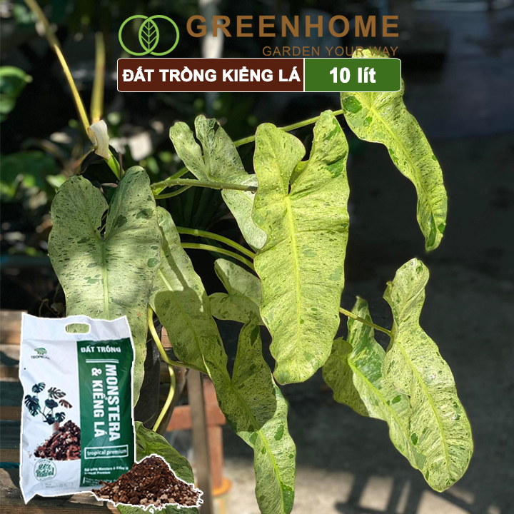 Đất trồng Monstera, kiểng lá, bao 10 lít , giá thể trộn sẵn, đầy đủ chất Tropical Premium |Greenhome