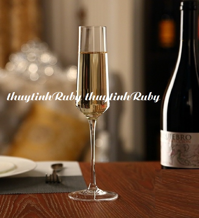 Bộ 6 ly uống ruou vang sâm panh cao cấp 250ml, cốc uống champagne wine glass