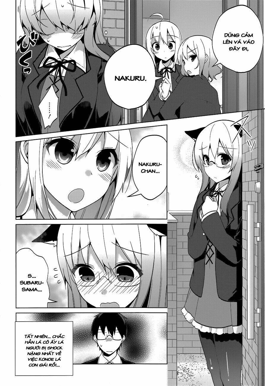 mayo chiki! chapter 36 19