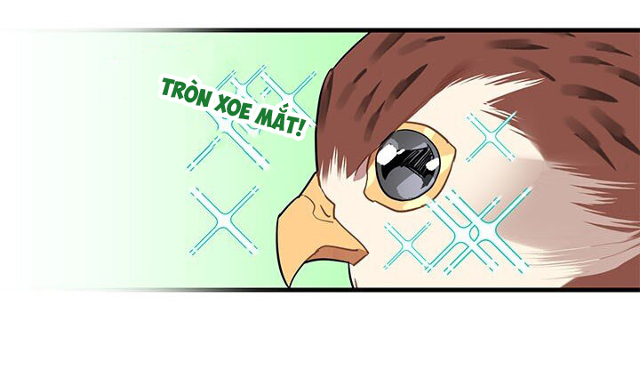 công chúa của loài chim chapter 4 48