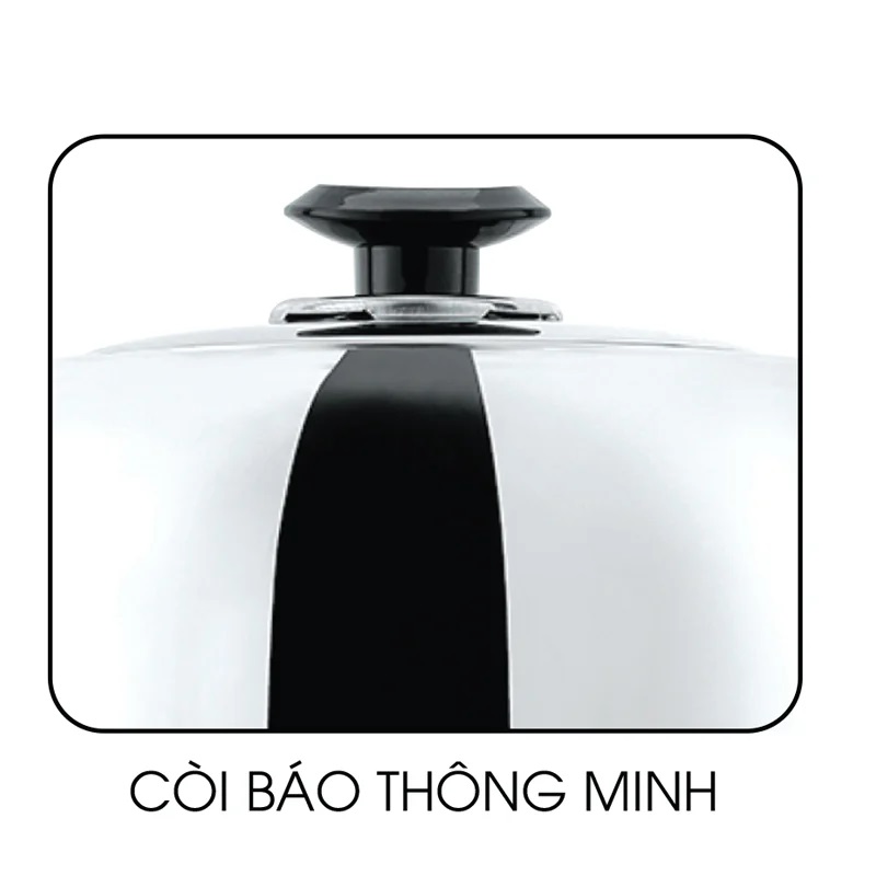 ẤM ĐIỆN ĐẾ LIỀN 4L ĐẠT TƯỜNG DTDL-09 - Hàng Chính Hãng