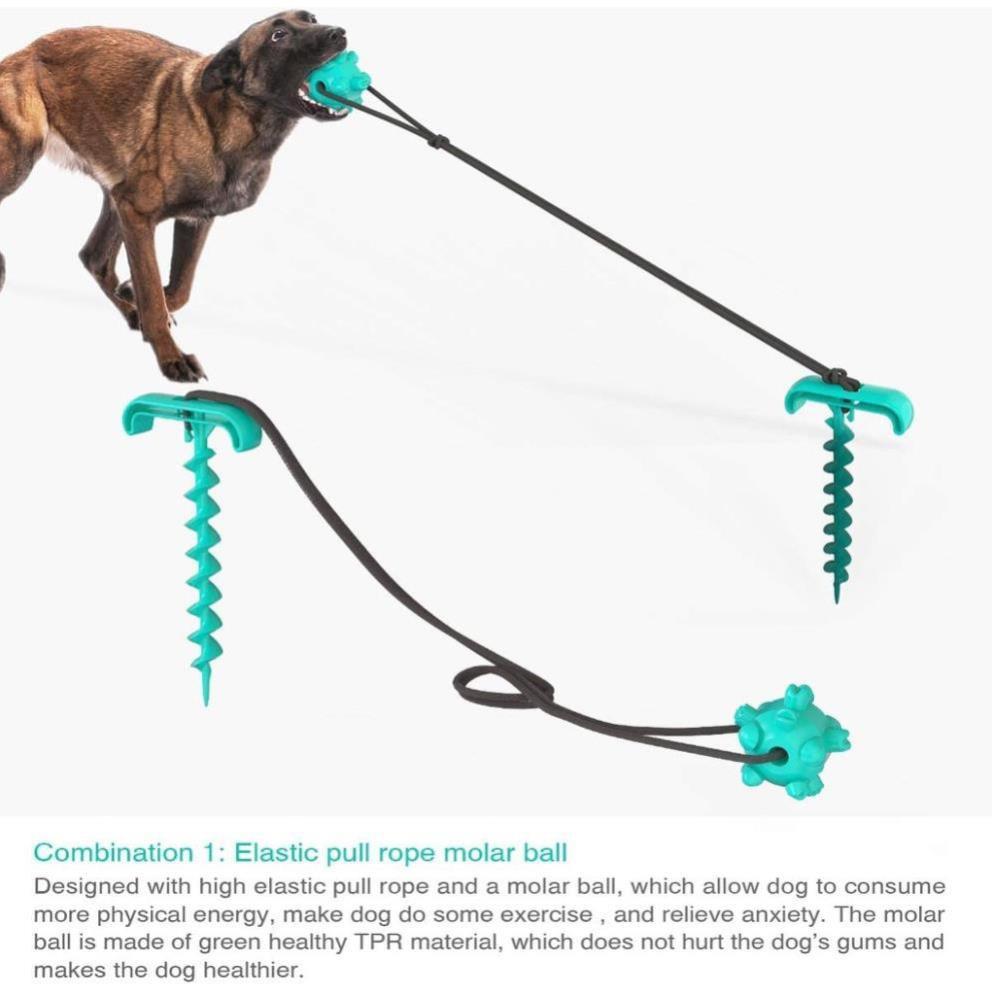 Dụng cụ Luyện Răng Thú Cưng Vệ Sinh răng Khoẻ và Sạch Pin Dog Leash