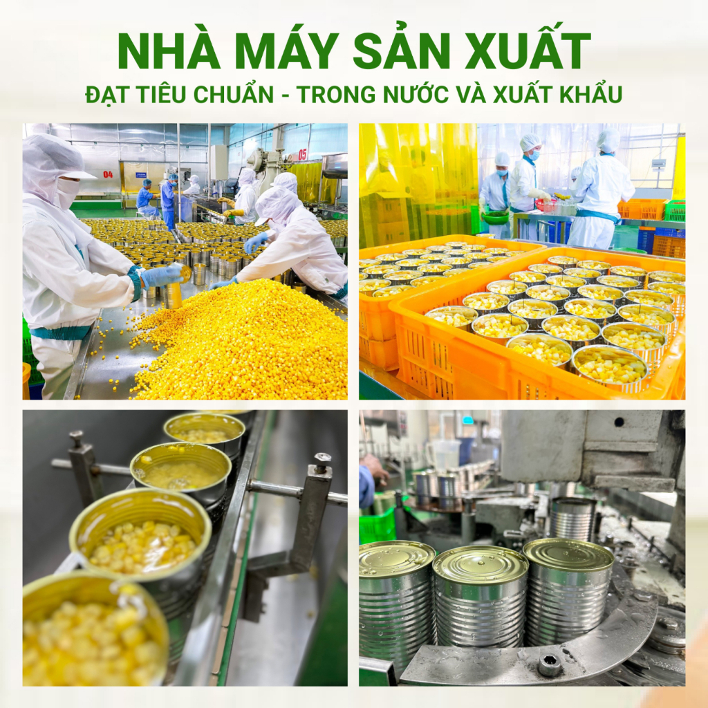 2 Thùng Ngô Ngọt Nguyên Hạt 24 Lon F&amp;G - Hàng xuất khẩu hạt to đều dùng Ăn chay, Salad, Các món xào