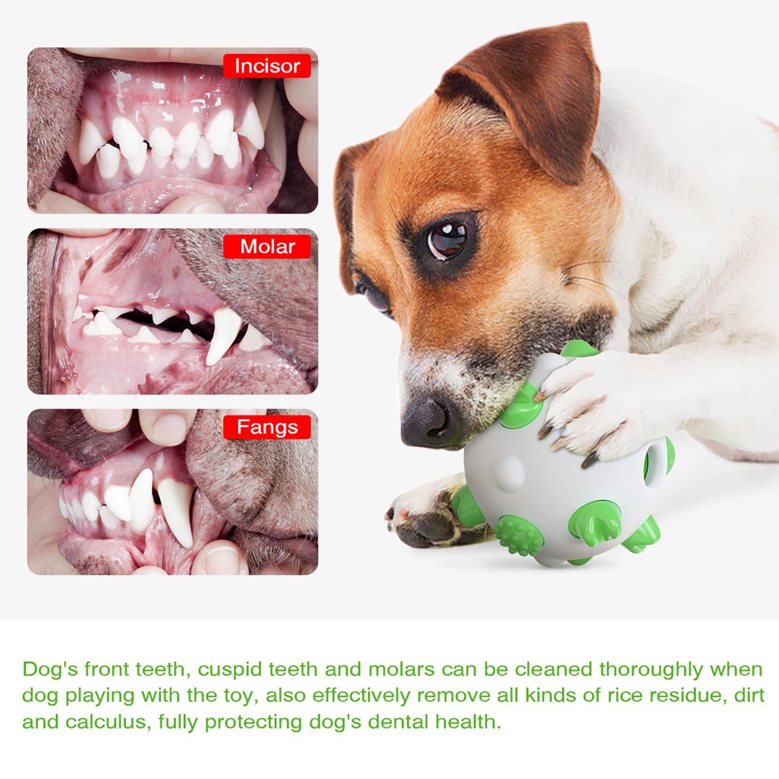 Đồ chơi cho thú cưng