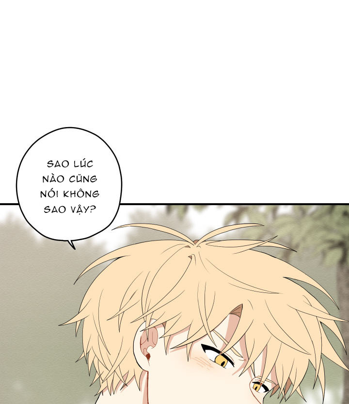 đường hoa liên kiều rơi chapter 20 13